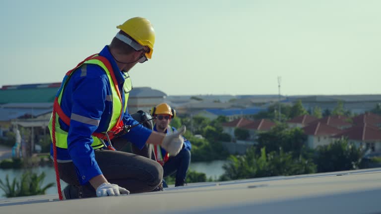 Best Roof Insulation Installation  in Round Lake Heights, IL